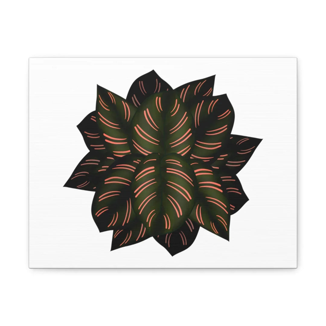 Calathea Pinstripe Canvas – Botanical Canvas Art Print | Matte Finish Wall Decor