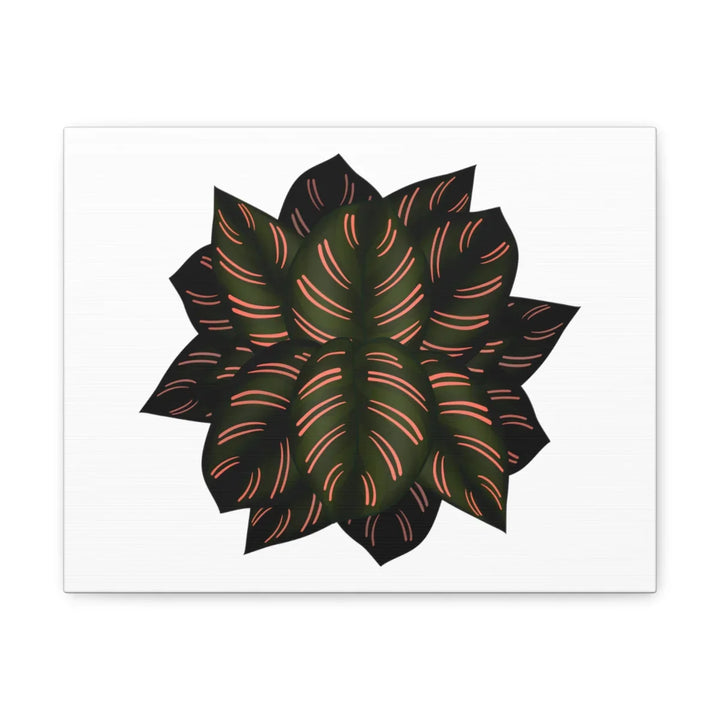 Calathea Pinstripe Canvas – Botanical Canvas Art Print | Matte Finish Wall Decor