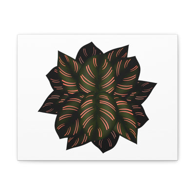 Calathea Pinstripe Canvas