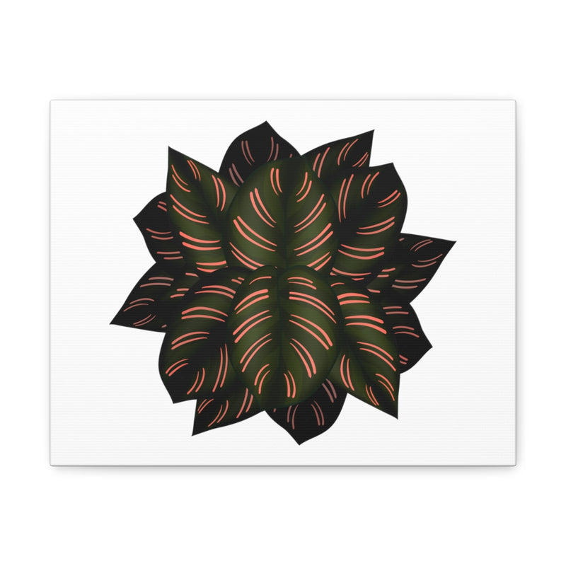 Calathea Pinstripe Canvas