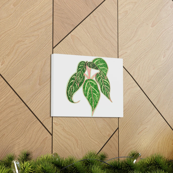 Aglaonema Plant Canvas | Sparkling Plant Artwork - Colorfast Canvas Art Print Decor