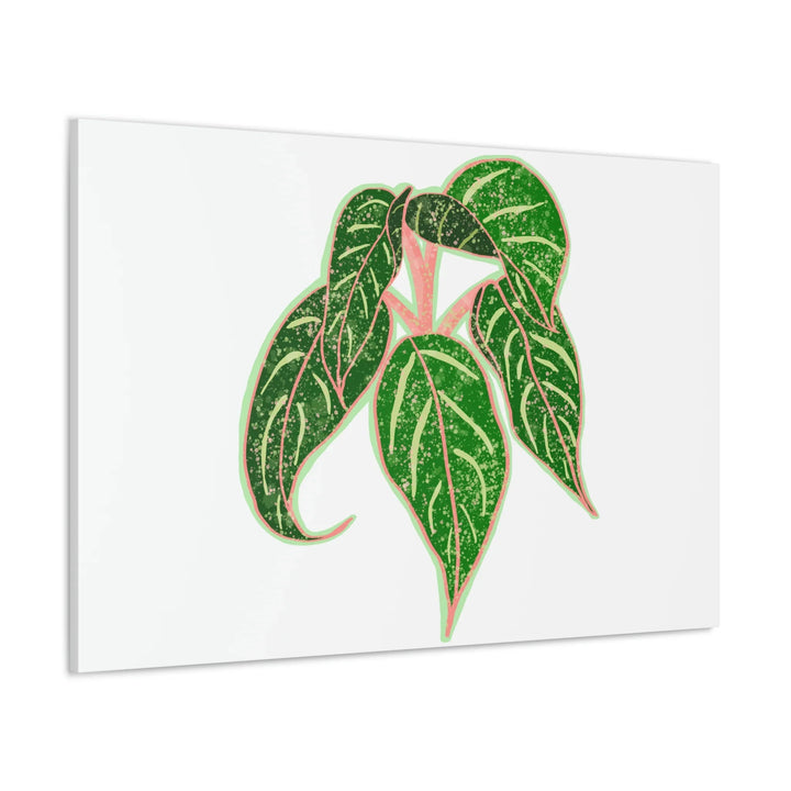 Aglaonema Plant Canvas | Sparkling Plant Artwork - Colorfast Canvas Art Print Decor