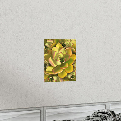 Noble Aeonium Succulent Pattern Print, Poster, Printify, Back to School, Home & Living, Indoor, Matte, Paper, Posters, Valentine's Day promotion, Laura Christine Photography & Design, laurachristinedesign.com