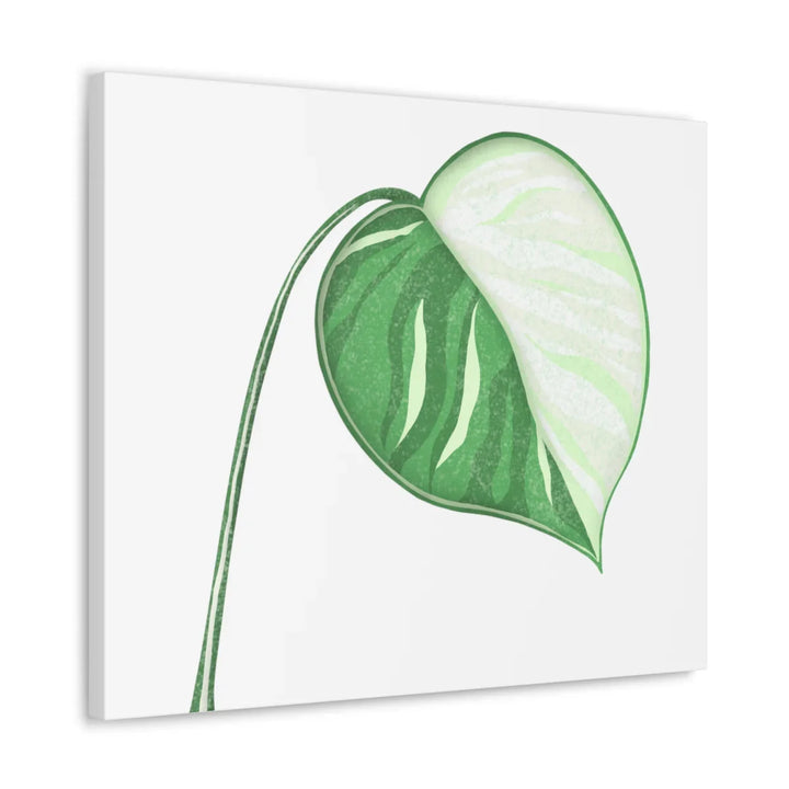 Monstera Albo Canvas | Large Tropical Leaf Artwork - Matte Finish Canvas Art Print - Laura Christine Photography & Design