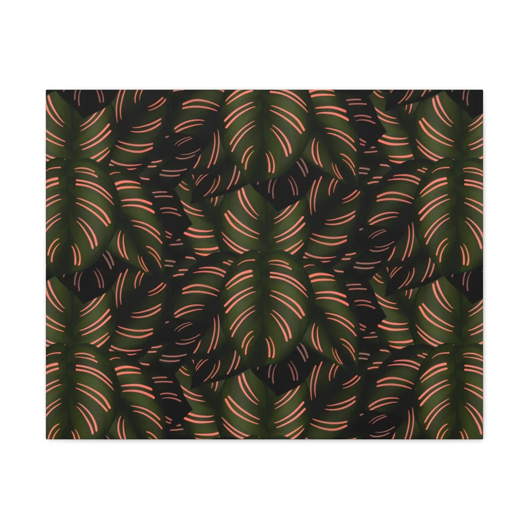 Calathea Pinstripe Canvas – Botanical Canvas Art Print | Matte Finish Wall Decor
