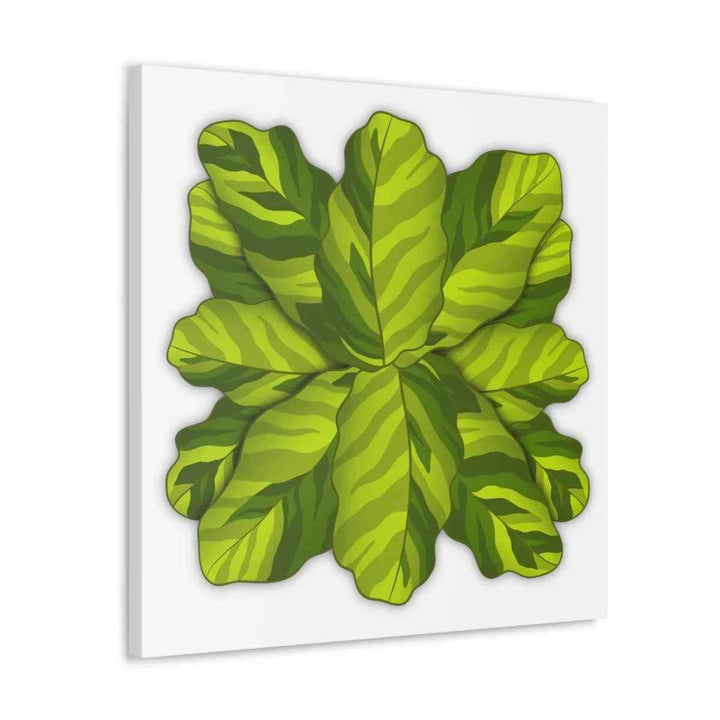 Calathea Yellow Fusion Canvas – Botanical Canvas Print With Unique Leaf Pattern Art