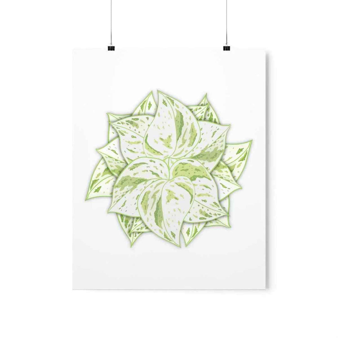 Snow Queen Pothos Print – Variegated Pothos Art on Museum Grade Paper Unframed