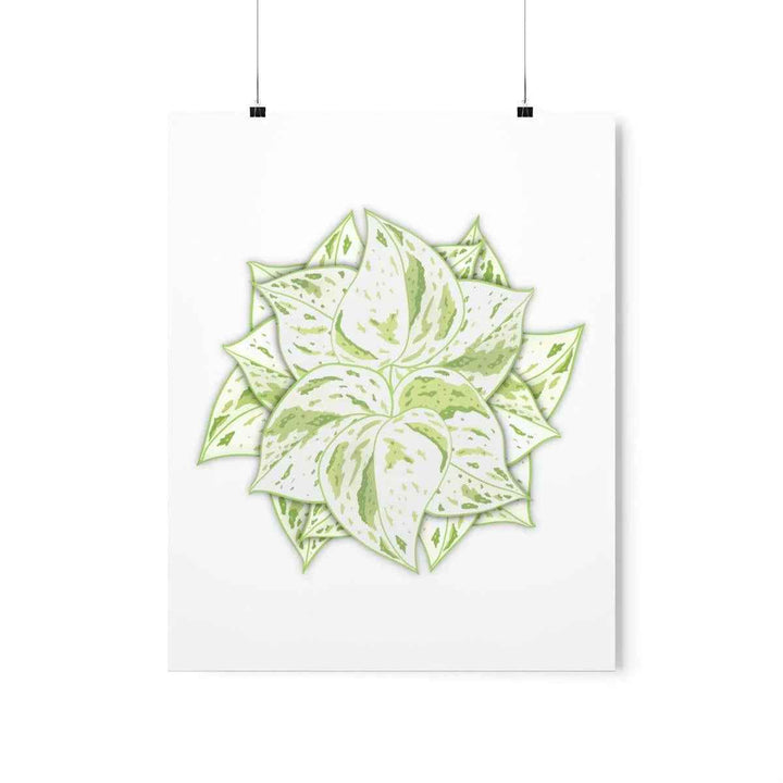 Snow Queen Pothos Print – Variegated Pothos Art on Museum Grade Paper Unframed