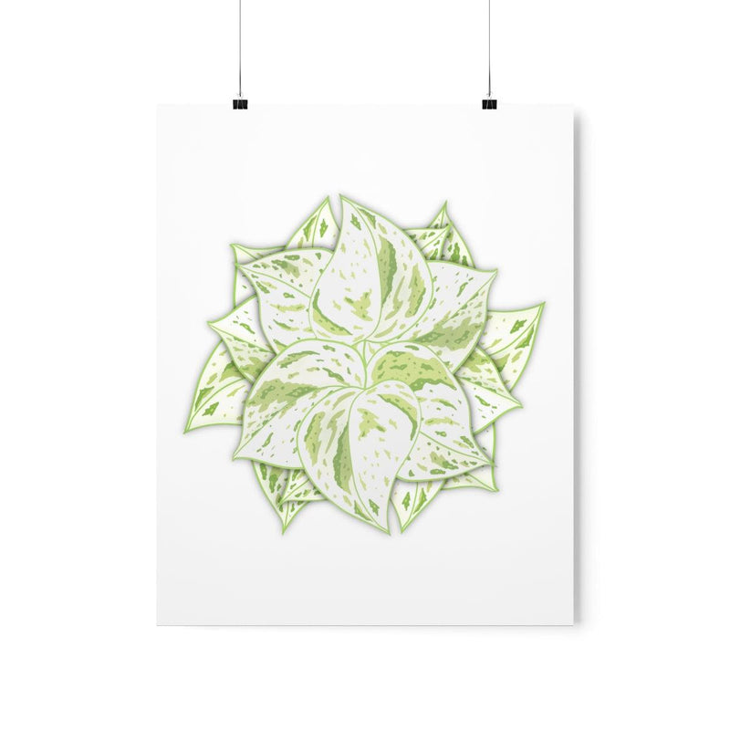 Snow Queen Pothos Print, Poster, Laura Christine Photography & Design, Back to School, Home & Living, Indoor, Matte, Paper, Posters, Valentine&