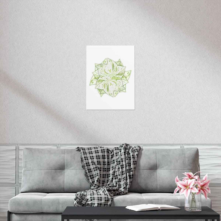 Snow Queen Pothos Print – Variegated Pothos Art on Museum Grade Paper Unframed