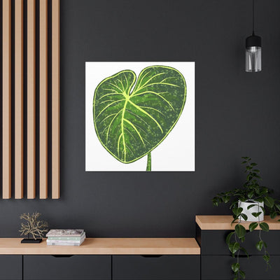 Philodendron Gloriosum Canvas, Canvas, Laura Christine Photography & Design, Art & Wall Decor, Canvas, Hanging Hardware, Home & Living, Indoor, Laura Christine Photography & Design, laurachristinedesign.com