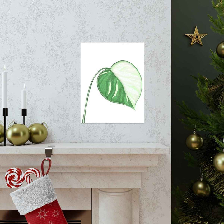 Monstera Albo Print – Large Tropical Leaf Poster | Museum Grade Paper Artwork Unframed