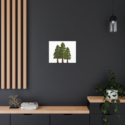 Coastal Redwoods Canvas