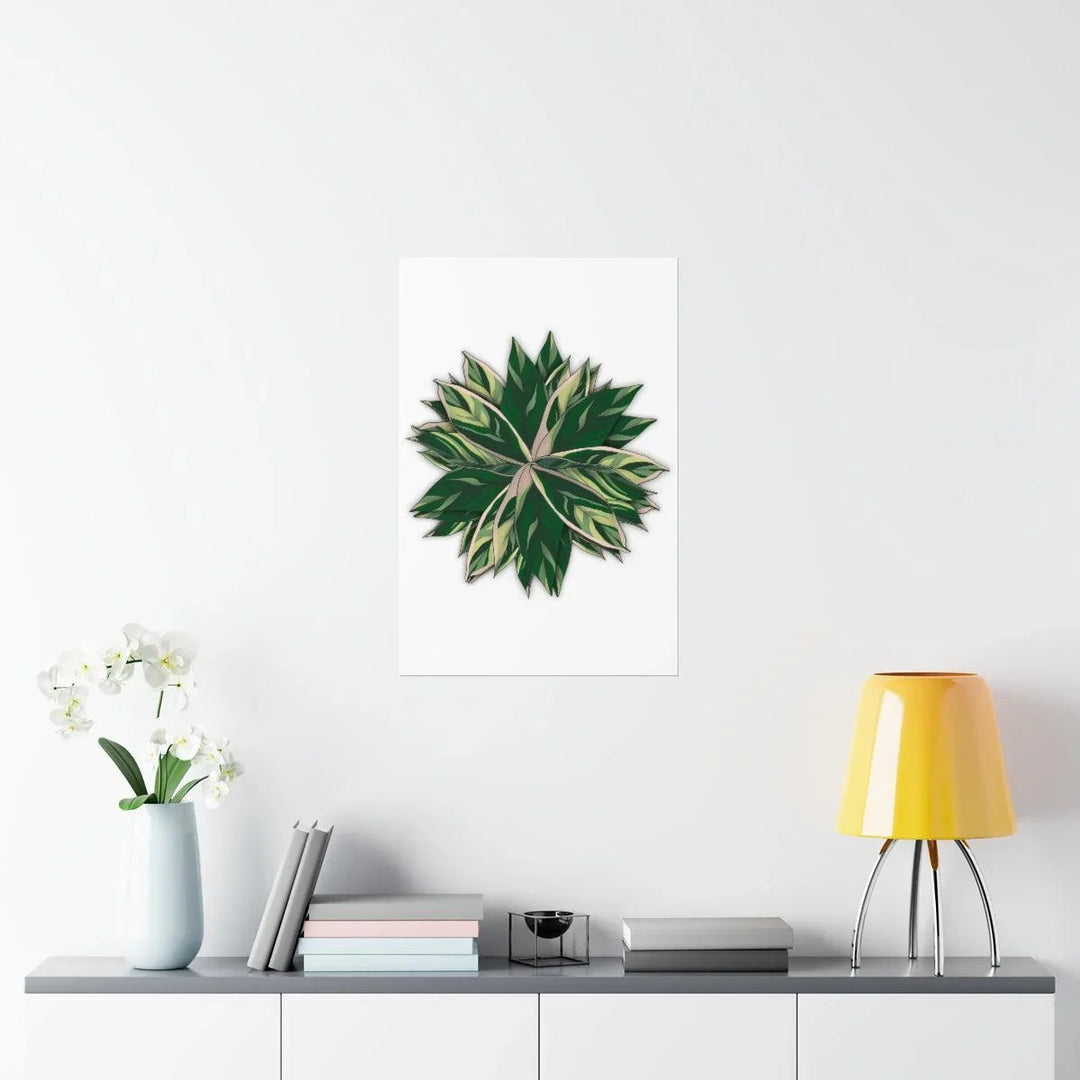 Stromanthe Triostar Print – Tropical Wall Art | Botanical Poster on Museum Grade Paper Unframed - Laura Christine Photography & Design