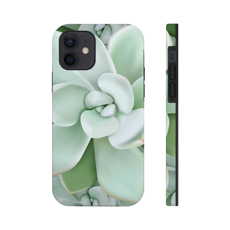 Pachyveria Haagei Succulent Phone Case, Phone Case, Printify, Accessories, Glossy, iPhone Cases, Matte, Phone accessory, Phone Cases, Samsung Cases, Laura Christine Photography & Design, laurachristinedesign.com