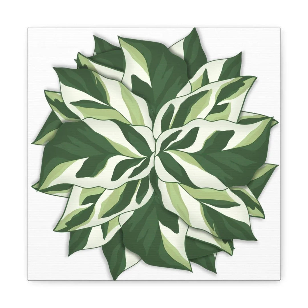 Calathea White Fusion Canvas | Indoor Wall Art - Matte Finish Botanical Canvas Art Print - Laura Christine Photography & Design