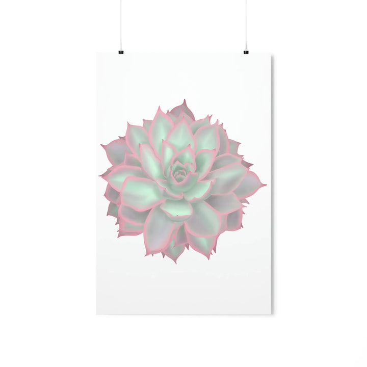 Echeveria Violet Queen Print – Succulent Wall Art | Botanical Poster On Museum Grade Paper
