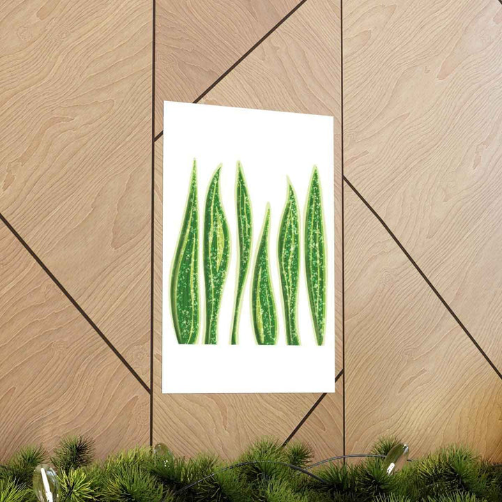 Snake Plant Print – Large Botanical Wall Art Poster | Matte Finish | Unframed