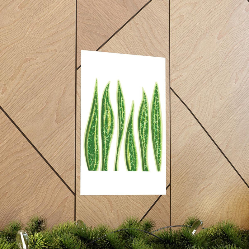 Snake Plant Print, Poster, Laura Christine Photography & Design, Back to School, Home & Living, Indoor, Matte, Paper, Posters, Valentine&