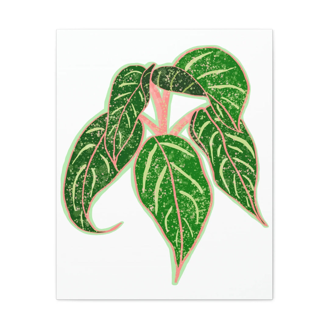 Aglaonema Plant Canvas | Sparkling Plant Artwork - Colorfast Canvas Art Print Decor