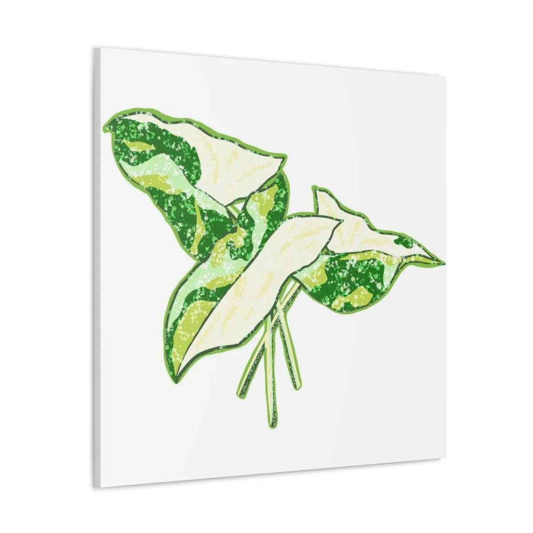 Marble Syngonium Canvas - Botanical Canvas Art Print | Durable Cotton Matte Finish