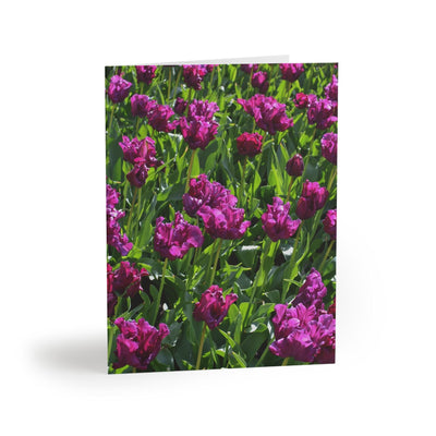 Purple prince tulips Photo Greeting Card, Paper products, Printify, Greeting Card, Holiday Picks, Home & Living, Paper, Postcard, Postcards, Laura Christine Photography & Design, laurachristinedesign.com