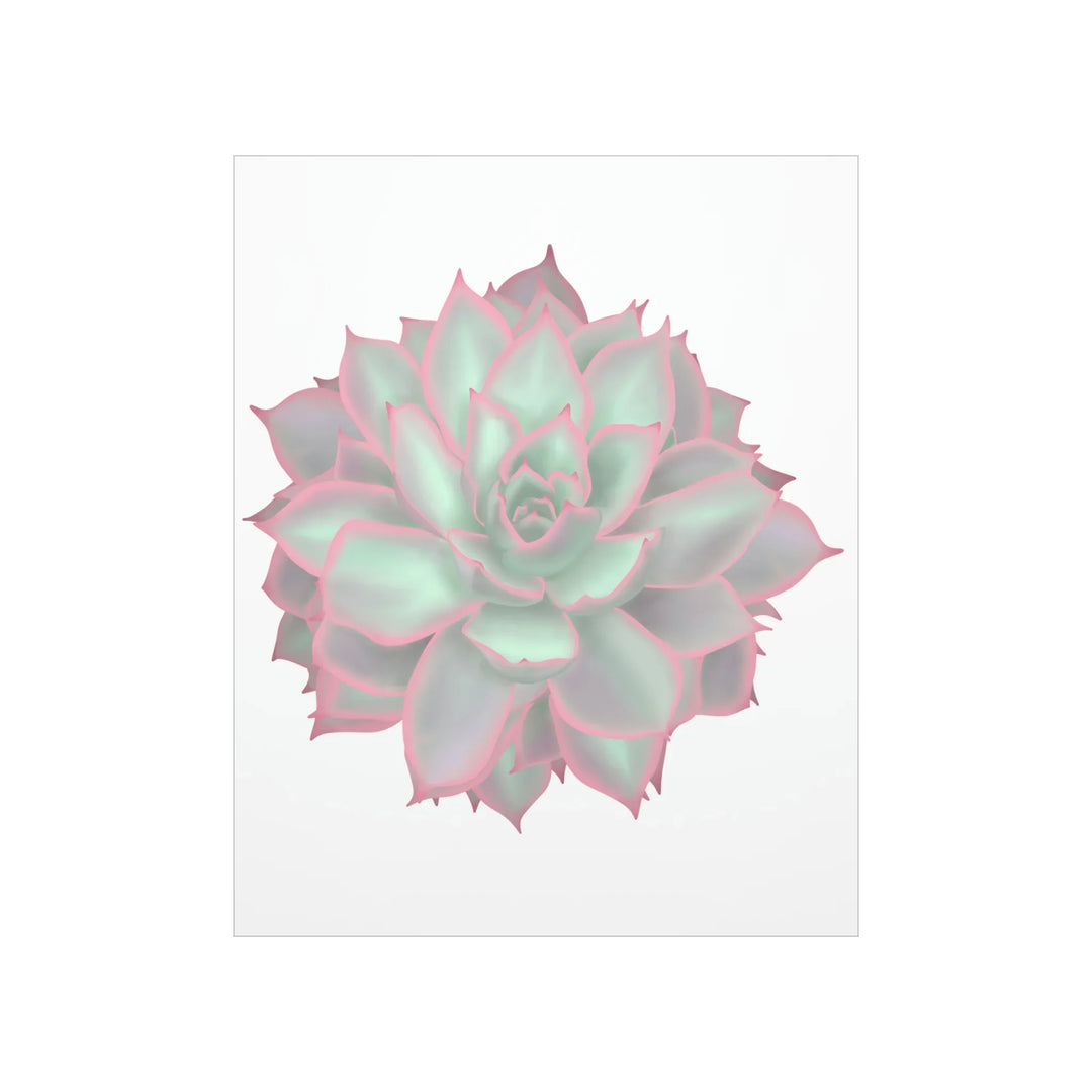 Echeveria Violet Queen Print – Succulent Wall Art | Botanical Poster On Museum Grade Paper