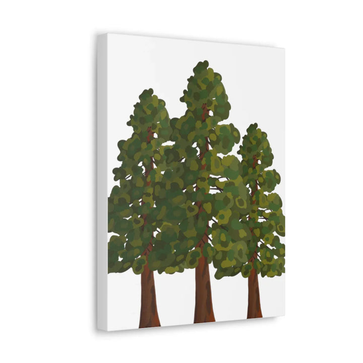 Coastal Redwoods Canvas - Stretched Cotton Canvas Art Print | Matte Finish Wall Hanging Artwork