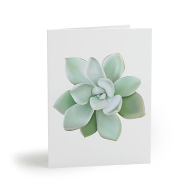 Pachyveria Haagei Succulent Greeting Card, Paper products, Printify, Greeting Card, Holiday Picks, Home & Living, Paper, Postcard, Postcards, Laura Christine Photography & Design, laurachristinedesign.com