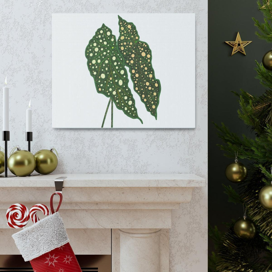 Begonia Maculata Canvas | Premium Canvas Art Print - Matte Finish, Durable Wall Decor - Laura Christine Photography & Design