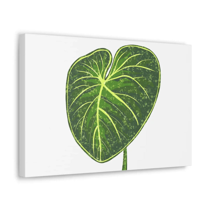 Philodendron Gloriosum Canvas - Stretched Canvas Art Print | Matte Indoor Wall Art - Laura Christine Photography & Design