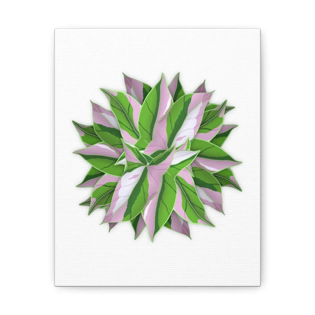 Tricolor Syngonium Canvas - Durable Canvas Art Print With Matte Finish & Botanical Design - Laura Christine Photography & Design