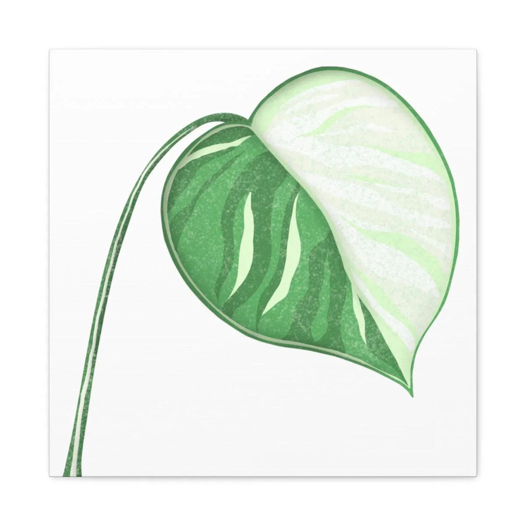 Monstera Albo Canvas | Large Tropical Leaf Artwork - Matte Finish Canvas Art Print - Laura Christine Photography & Design