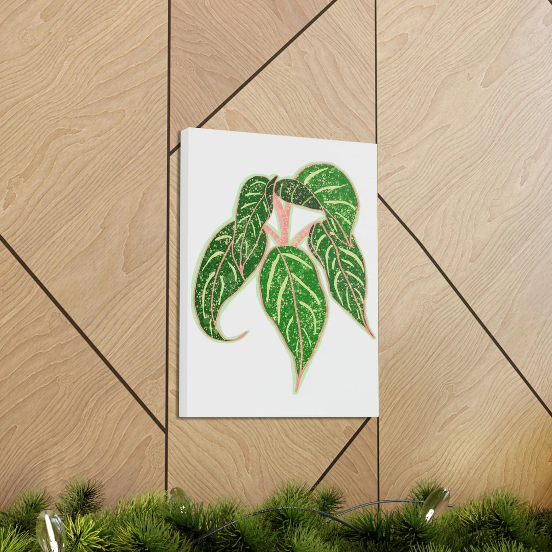 Aglaonema Plant Canvas | Sparkling Plant Artwork - Colorfast Canvas Art Print Decor