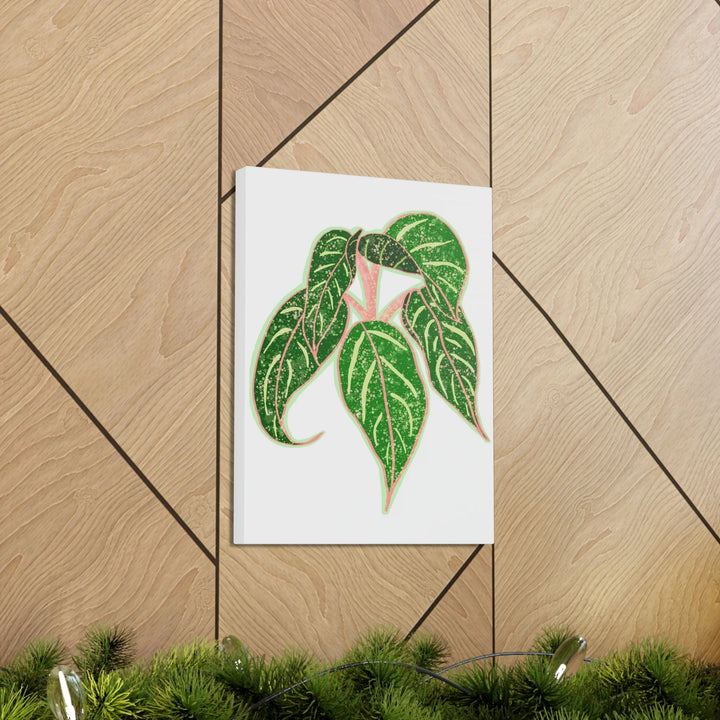 Aglaonema Plant Canvas | Sparkling Plant Artwork - Colorfast Canvas Art Print Decor