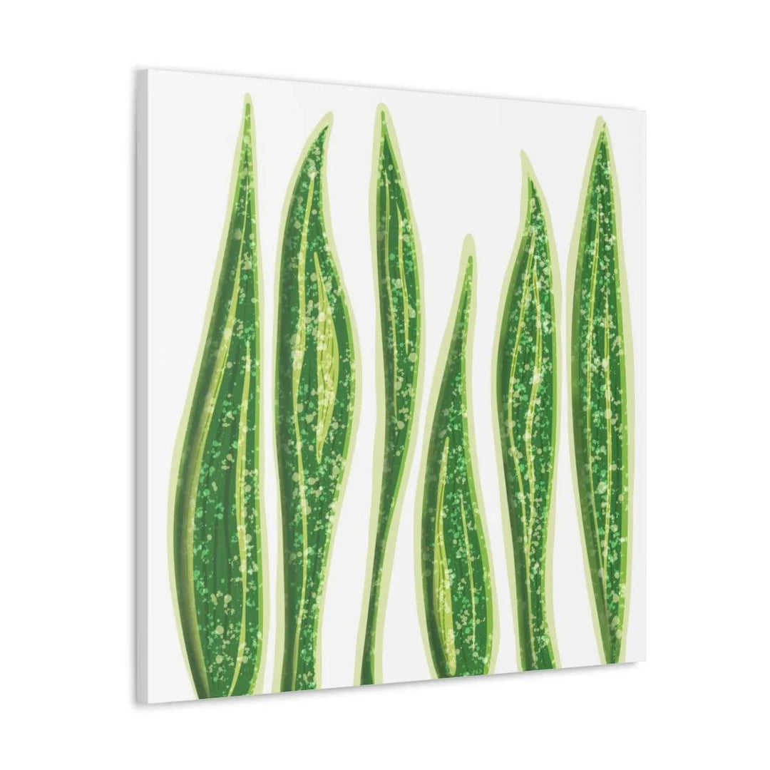 Snake Plant Canvas | Botanical Canvas Decor - Matte Finish Artwork for Living Room - Laura Christine Photography & Design