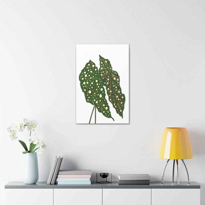 Begonia Maculata Canvas | Premium Canvas Art Print - Matte Finish, Durable Wall Decor