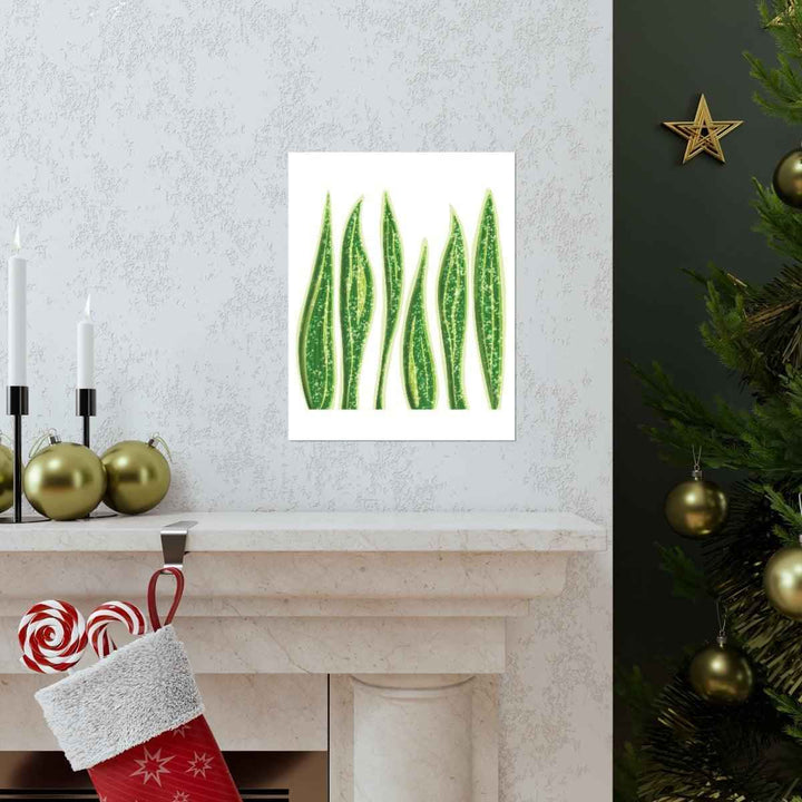 Snake Plant Print – Large Botanical Wall Art Poster | Matte Finish | Unframed