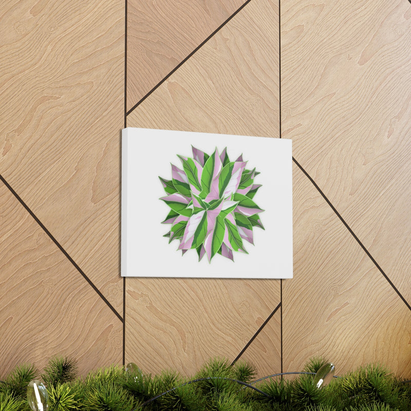 Tricolor Syngonium Canvas