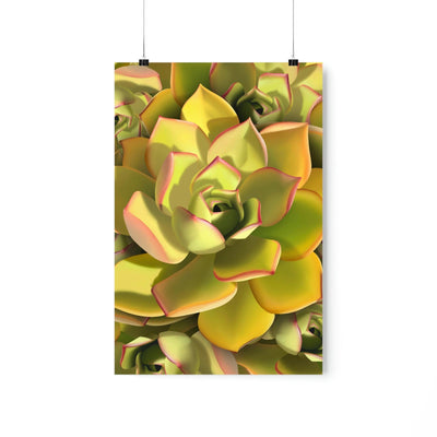 Noble Aeonium Succulent Pattern Print, Poster, Printify, Back to School, Home & Living, Indoor, Matte, Paper, Posters, Valentine's Day promotion, Laura Christine Photography & Design, laurachristinedesign.com