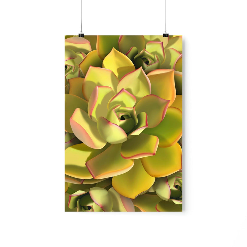 Noble Aeonium Succulent Pattern Print, Poster, Printify, Back to School, Home & Living, Indoor, Matte, Paper, Posters, Valentine&