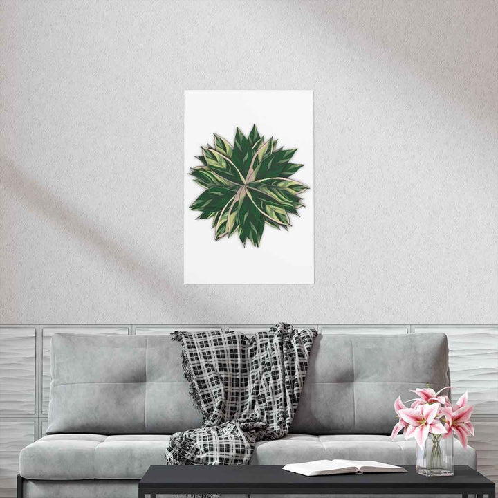 Stromanthe Triostar Print – Tropical Wall Art | Botanical Poster on Museum Grade Paper Unframed