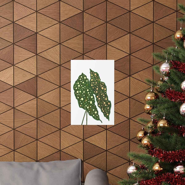 Begonia Maculata Print - Botanical Wall Art on Museum Grade Paper | Matte Finish Unframed