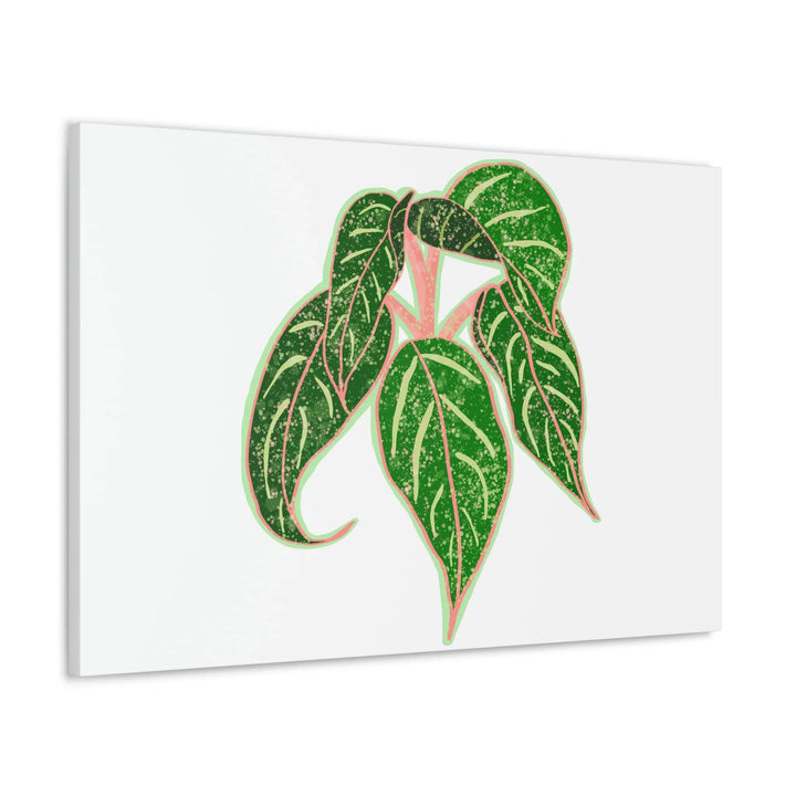 Aglaonema Plant Canvas | Sparkling Plant Artwork - Colorfast Canvas Art Print Decor