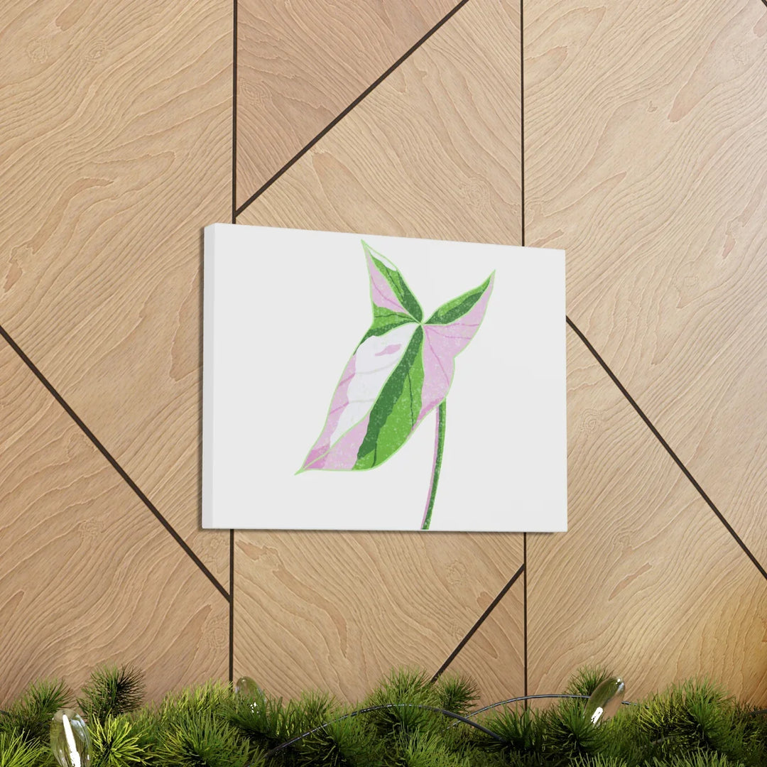 Syngonium Tricolor Canvas | Botanical Canvas Art Print With Matte Finish - Laura Christine Photography & Design