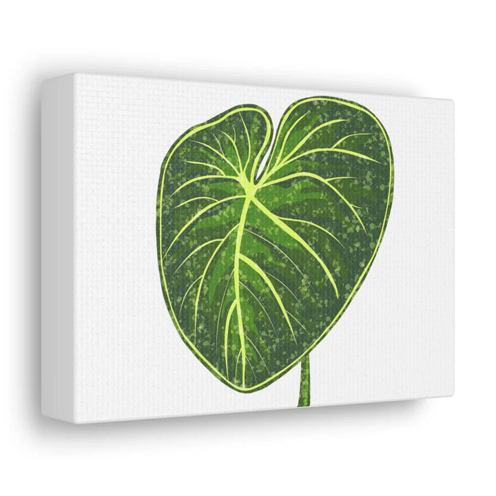 Philodendron Gloriosum Canvas - Stretched Canvas Art Print | Matte Indoor Wall Art - Laura Christine Photography & Design