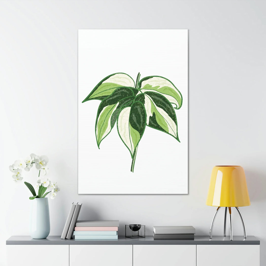 Philodendron Canvas Print - Cream Splash Variegated Plant Art on Matte Cotton Canvas