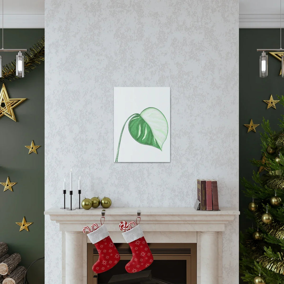 Monstera Albo Canvas | Large Tropical Leaf Artwork - Matte Finish Canvas Art Print - Laura Christine Photography & Design