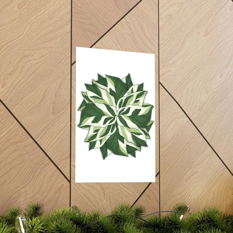 Calathea White Fusion Print, Poster, Laura Christine Photography & Design, Back to School, Bottle, Calathea, Canvas Bag, Coffee, Drinkware, Home & Living, Indoor, Matte, Paper, Posters, Prayer Plant, Reusable, Shopping Bag, Tea, Tote Bag, Travel, Tumbler, Valentine&