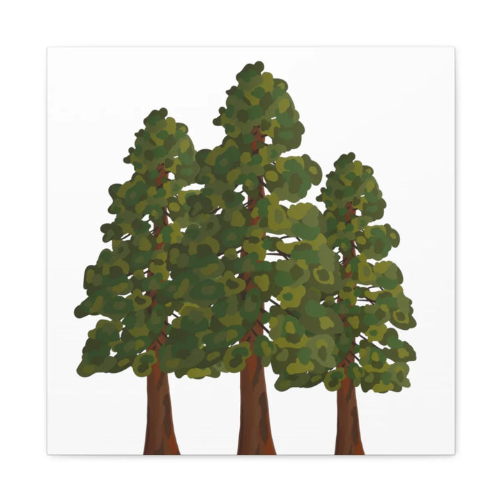 Coastal Redwoods Canvas - Stretched Cotton Canvas Art Print | Matte Finish Wall Hanging Artwork